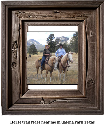 horse trail rides near me in Galena Park, Texas